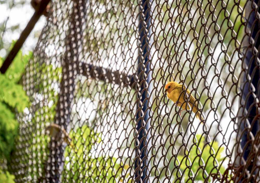 Ankara Tel Örgü Sistemleri - Kürşat Tel Örgü